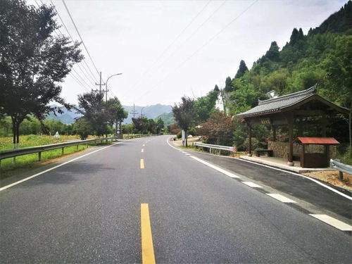 临安公路荣膺省级绿化美化精品道路，桥梁艺术融入生态长廊