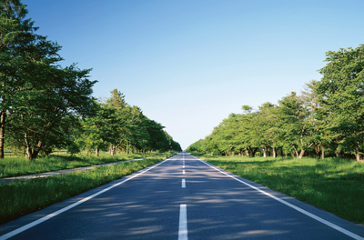 穿山越岭的工程艺术 公路隧道设计的关键考量