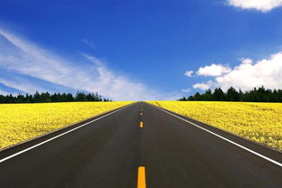 高速公路堵车，村民坐地起价收“过路费” 应急通道岂能成“生财之道”？